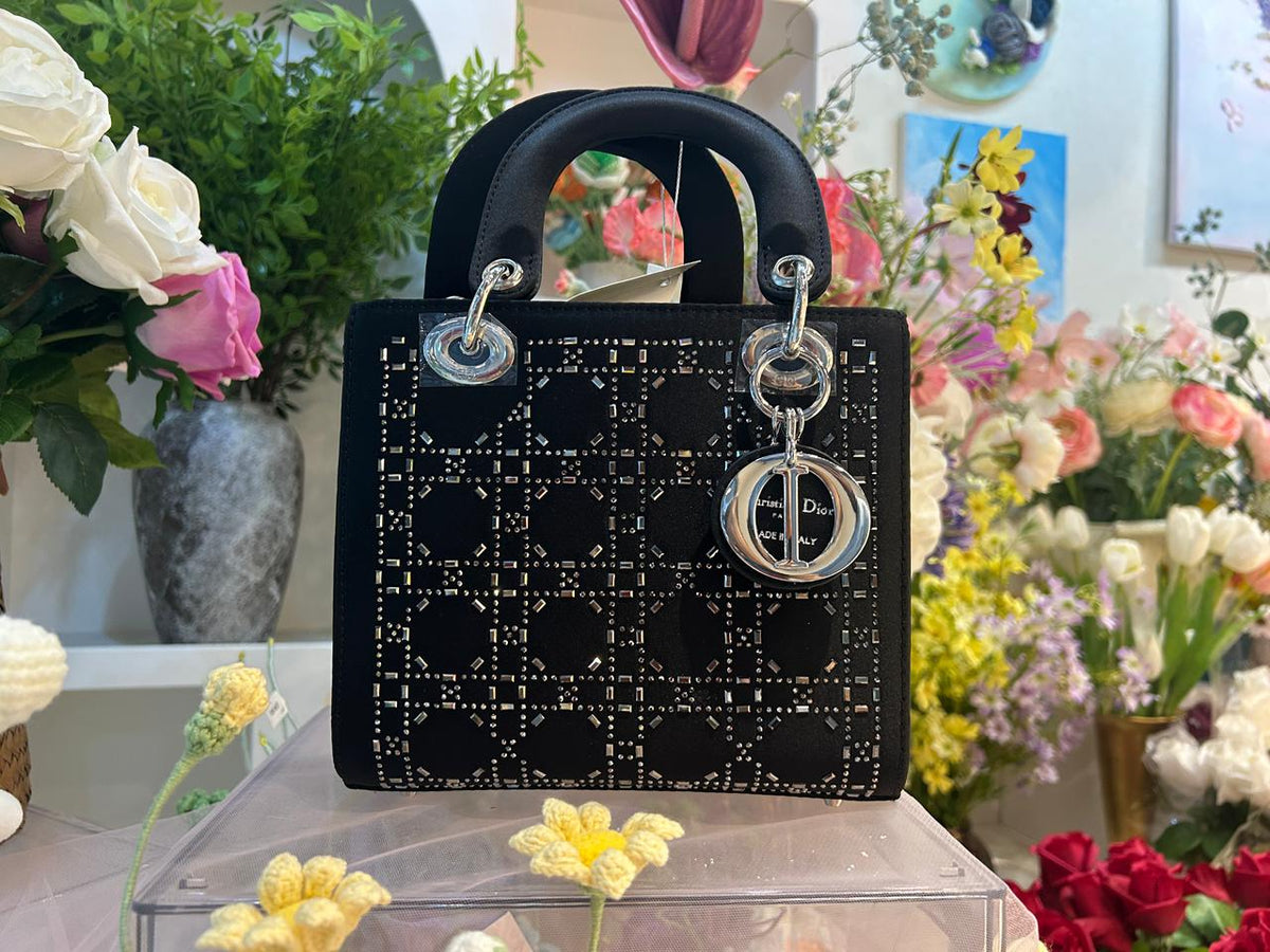 Elegant  Mini Bag with Crystal Embellishments (ERCA050V)