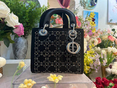 Elegant  Mini Bag with Crystal Embellishments (ERCA050V)