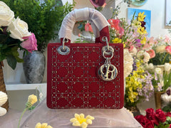 Elegant  Mini Bag with Crystal Embellishments (ERCA050V)