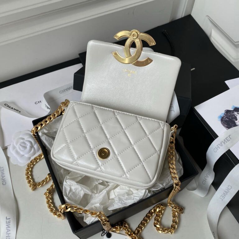 Chic Quilted Chanel Bag (CCBA009BM)